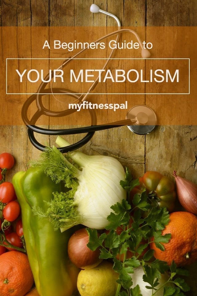 Beginners-Guide-to-Your-Metabolism