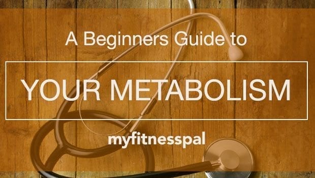 front-Beginne-Guide-to-Your-Metabolism