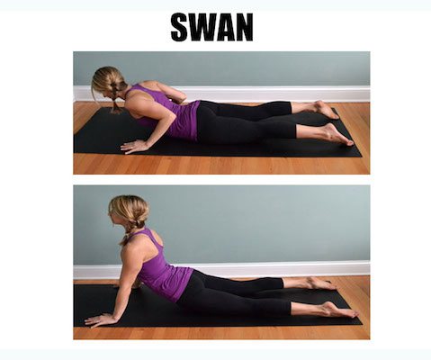 myfitnesspal swan exercise