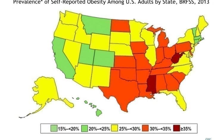 The State of Obesity in America