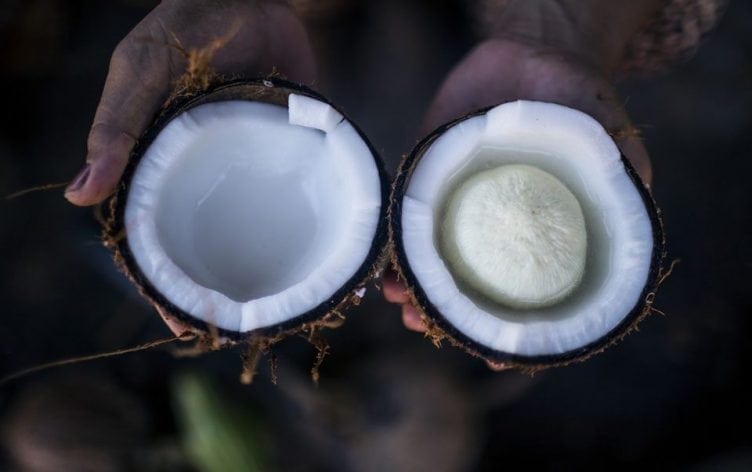 Is Coconut Oil All It’s Cracked Up to Be?