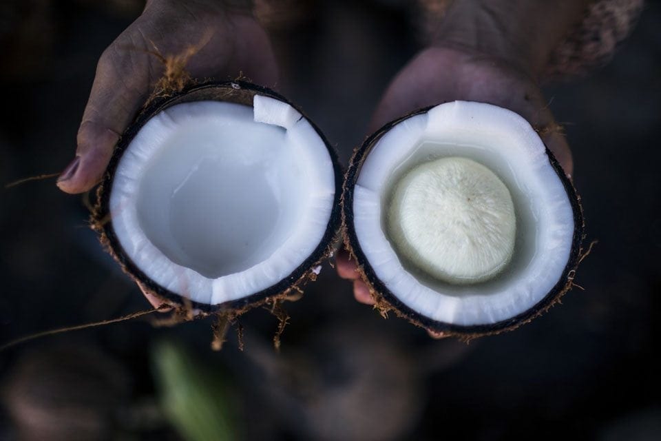 Is Coconut Oil All It's Cracked Up to Be?