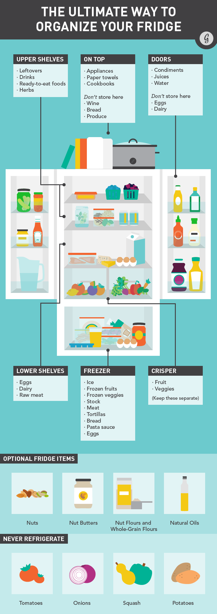 refrigerator storage infographic