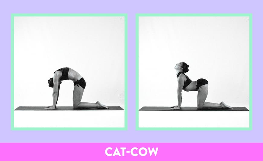stretches-wake-up_cat-cow