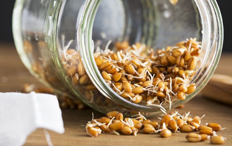 Are Sprouted Grains Healthier?
