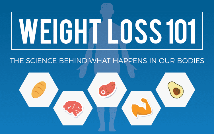 Weight Loss 101: What’s Actually Happening Inside You? [Infographic]