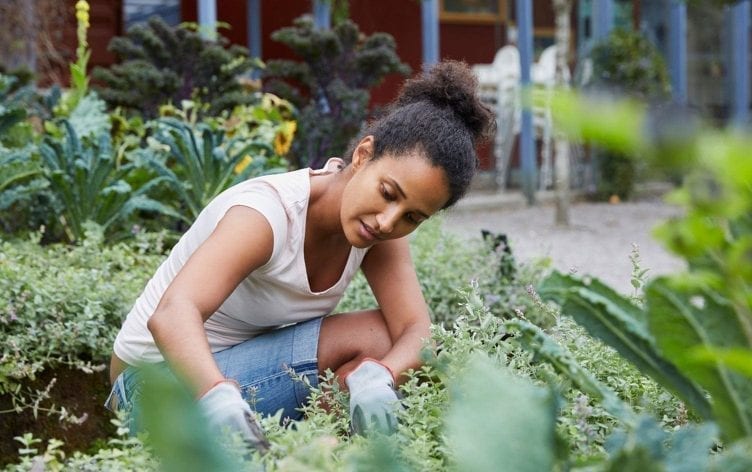 6 Health Benefits of Gardening