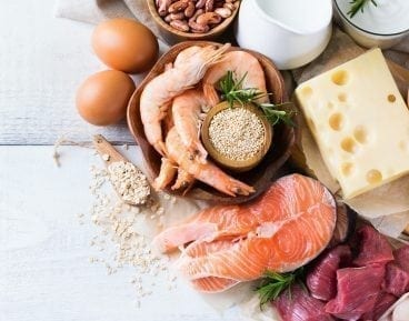 Essential Guide to Protein