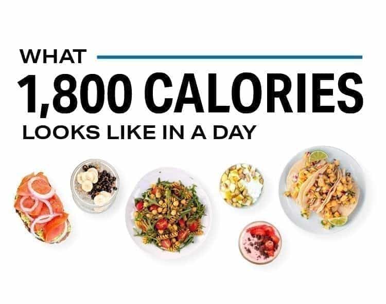 what does an 1800 calorie diet consist of