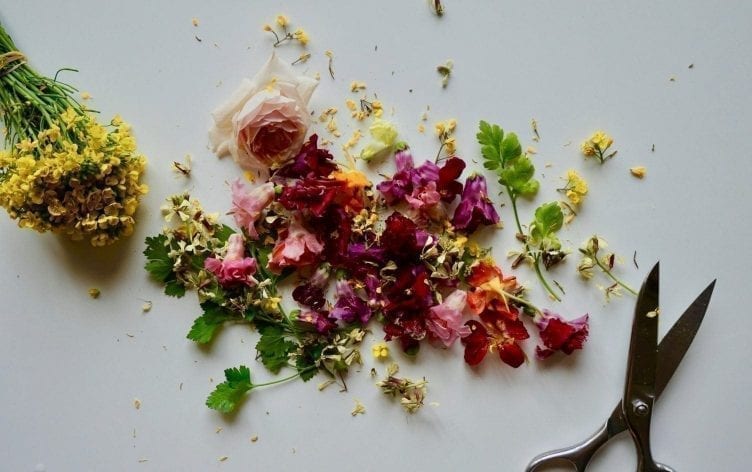 Instagram-Worthy (Edible) Flower Power