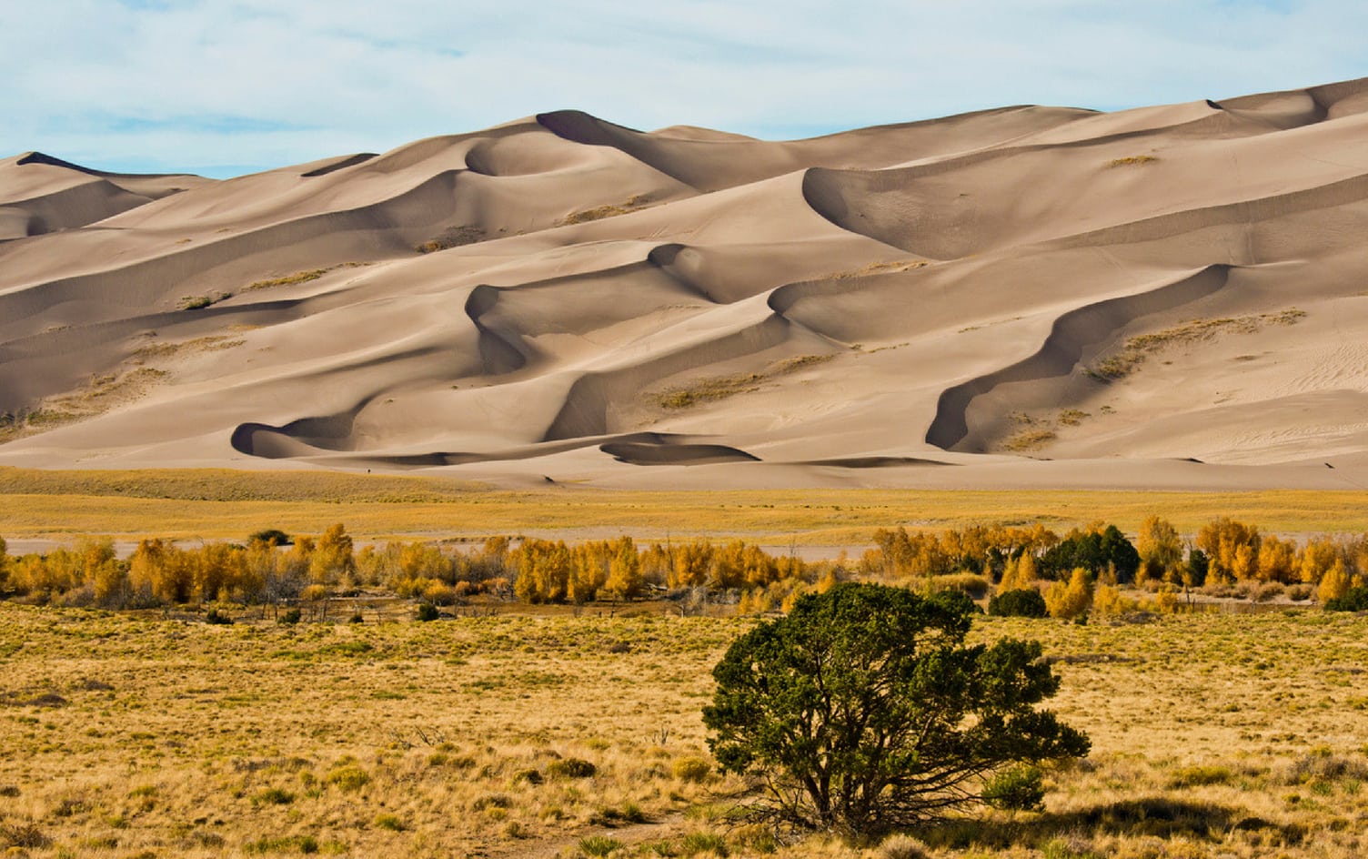GREAT SAND DUNES NATIONAL PARK AND PRESERVE, COLORADO Top 10 Family-Friendly Hikes in the U.S. Parks