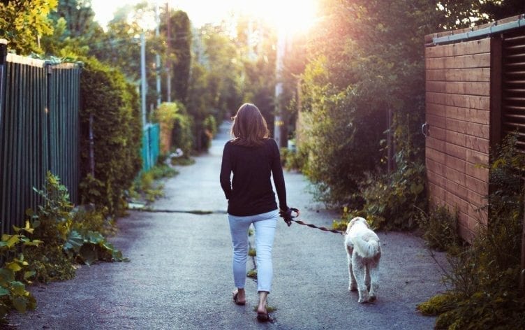 Why You Should be Walking, Science Says