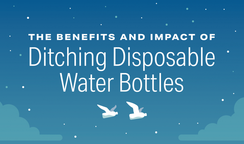 The Benefits and Impact of Ditching Disposable Water Bottles