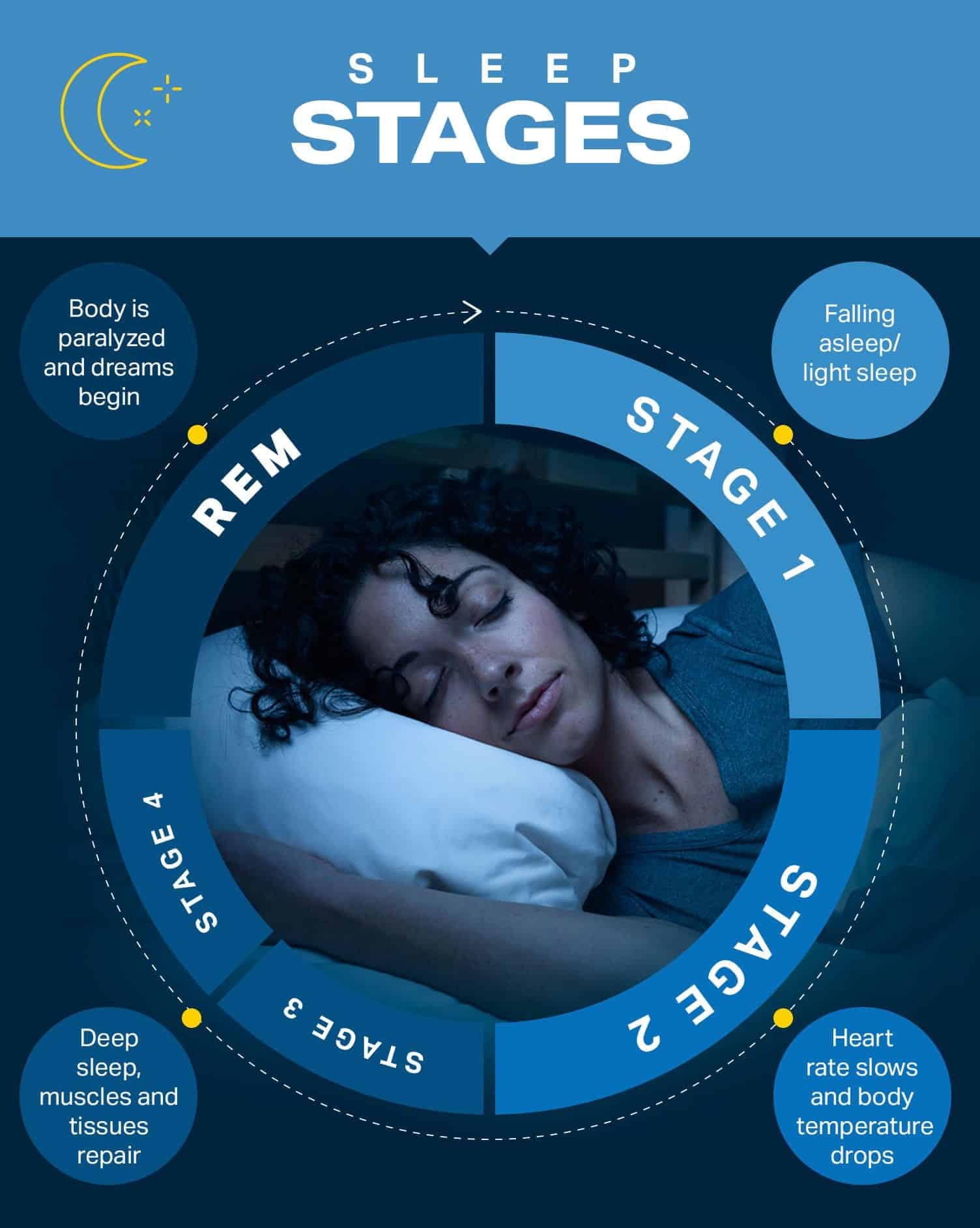 Understanding Sleep Cycles And How To Improve Sleep Wellness Myfitnesspal
