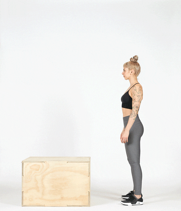 How to Do the Box Jump  Plyometric workout, Lower body muscles, Box jumps