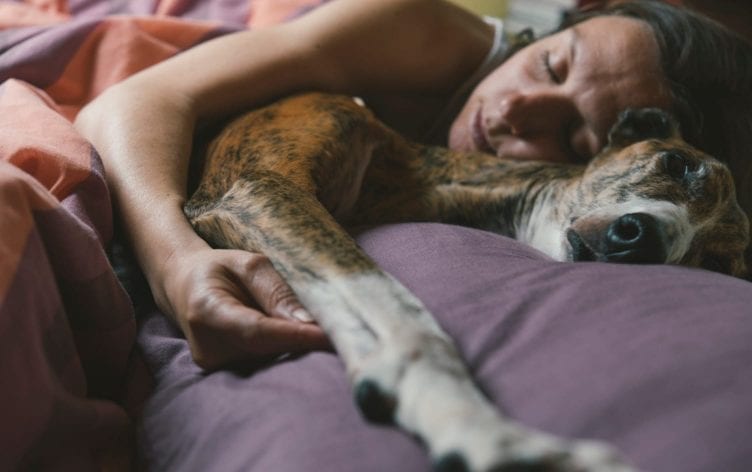 4 Reasons to Sleep With Your Pet