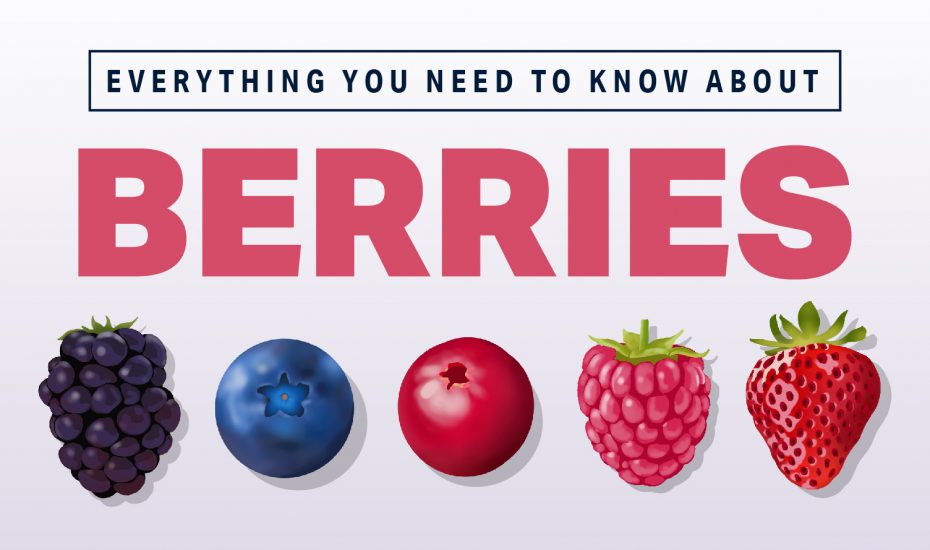 Everything You Need to Know About Berries