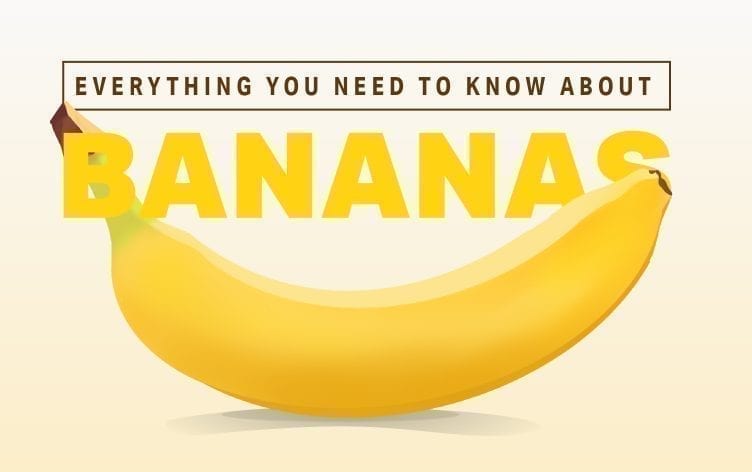 Everything You Need to Know About Bananas