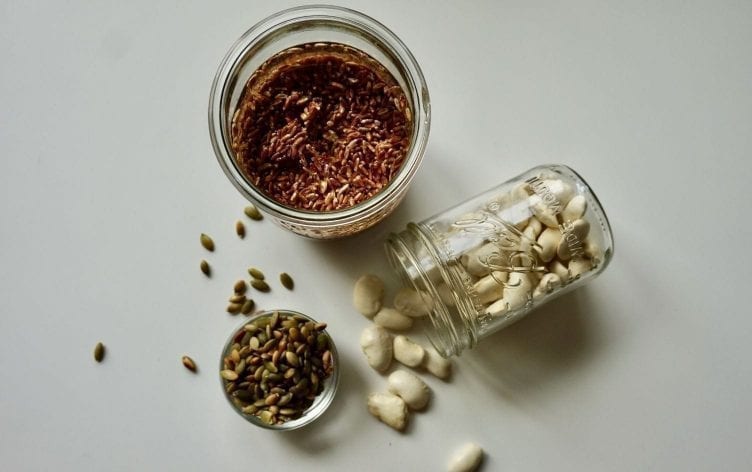 How Sprouting Seeds, Grains and Beans Rocked My World