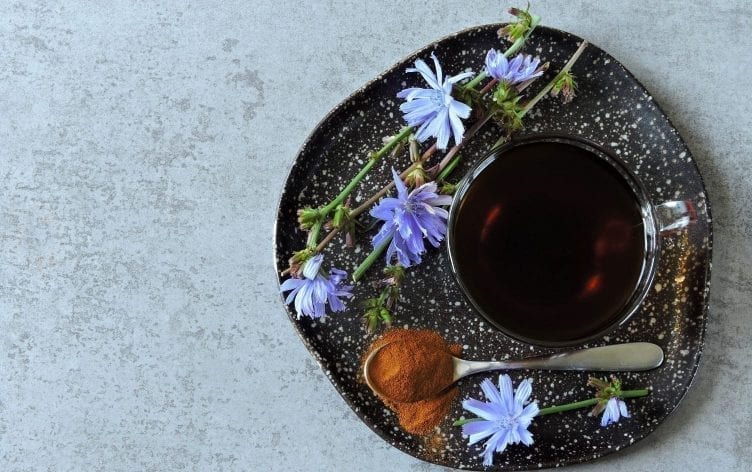 5 Reasons Chicory Root Is More Than a Trend