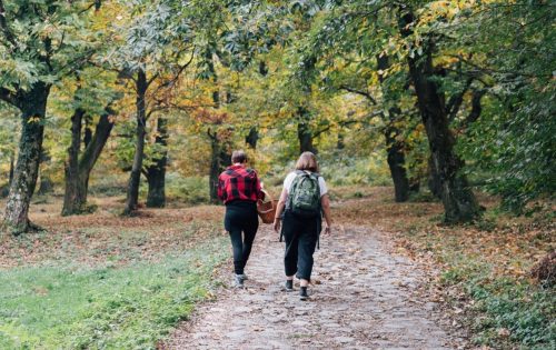 What You Need to Know About Urban Hiking