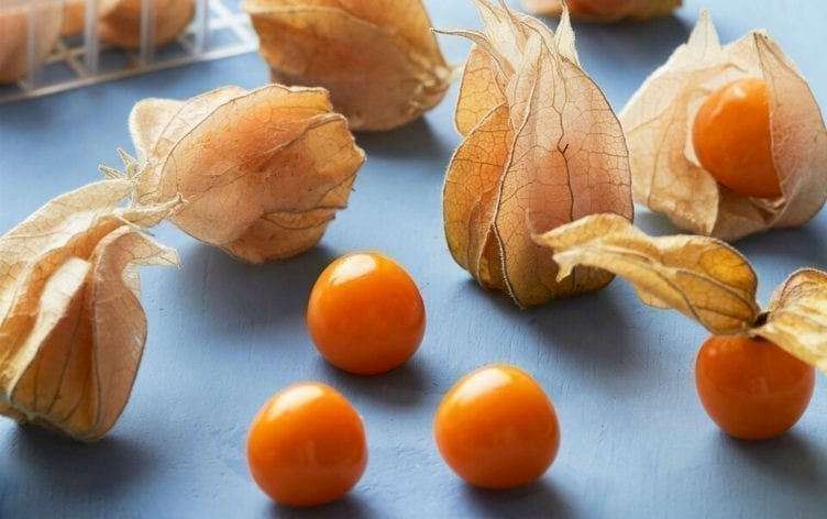 Ground Cherries Are Trending and Here’s Why to Try Them