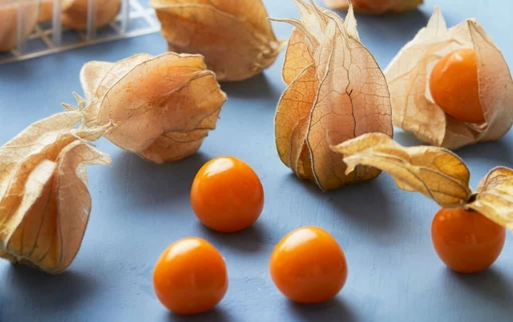 Ground Cherries Are Trending and Here’s Why to Try Them | Nutrition