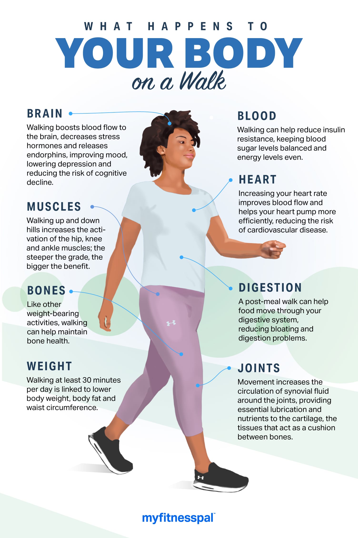 What happens to your body when you start walking everyday?