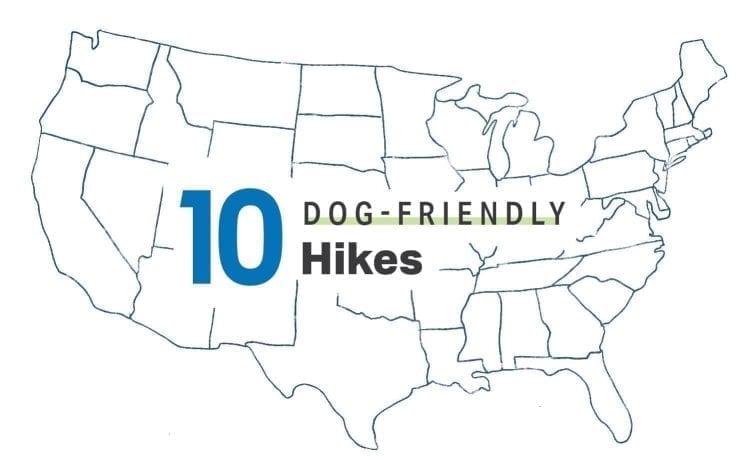 10 Dog-Friendly Hikes in the U.S.