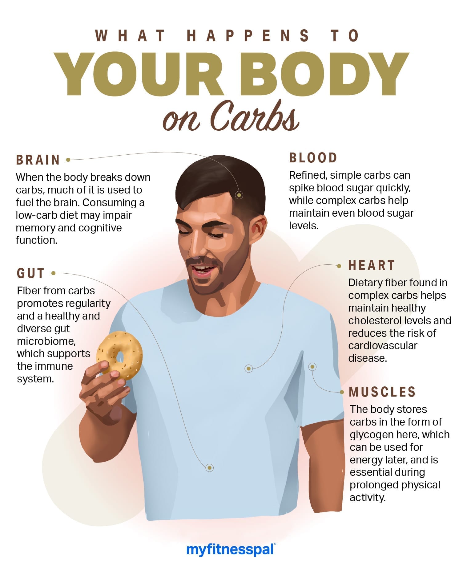 What Happens to Your Body on Carbs
