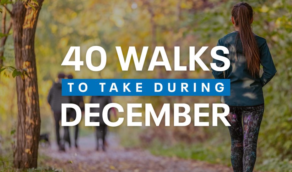 40 Walks to Take During December