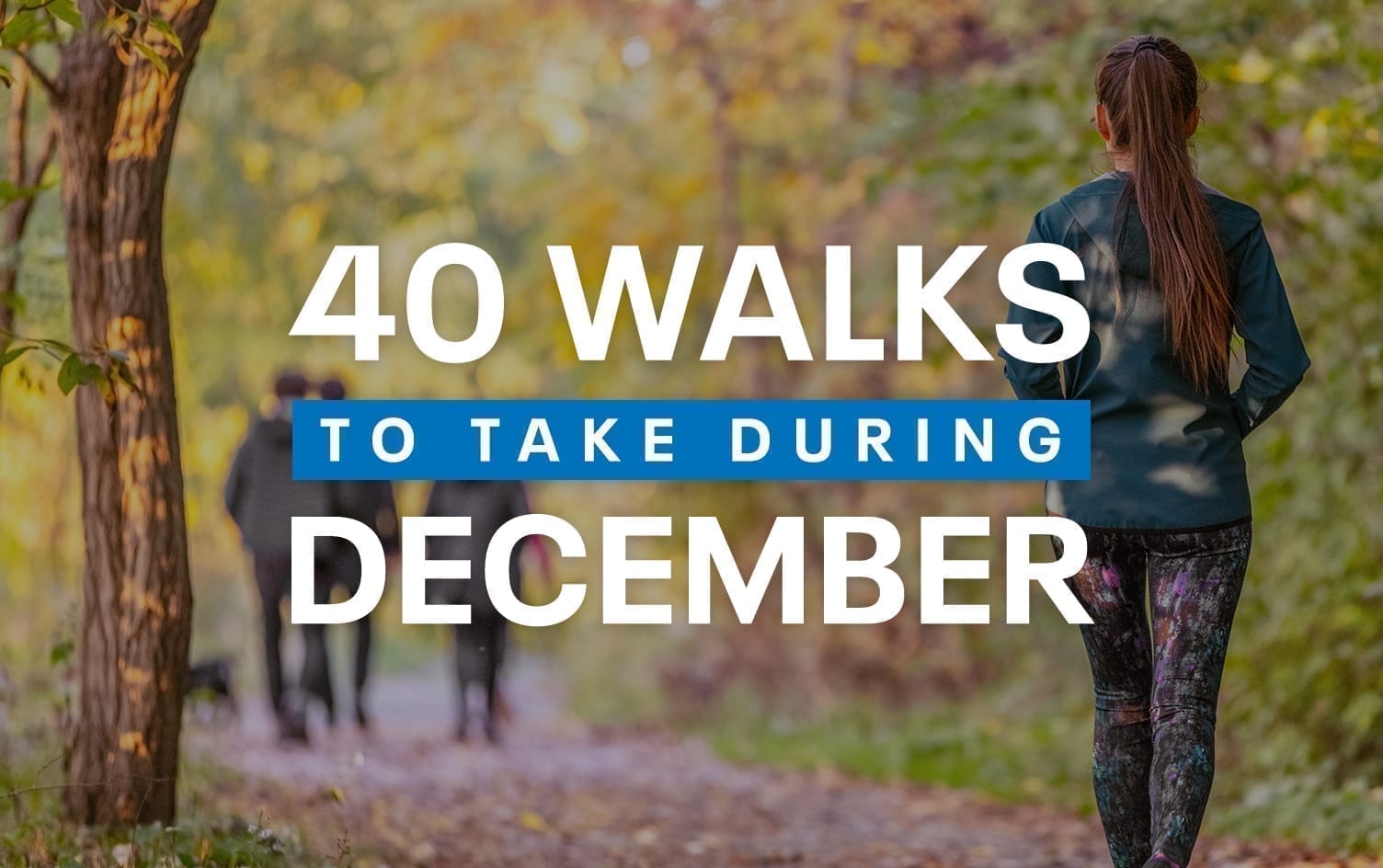 40 Walks to Take During December