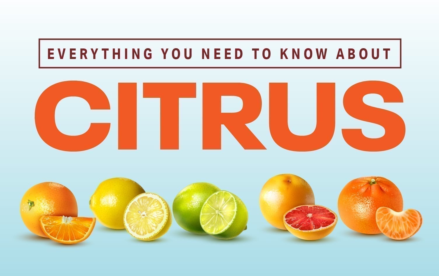 Everything You Need to Know About Citrus