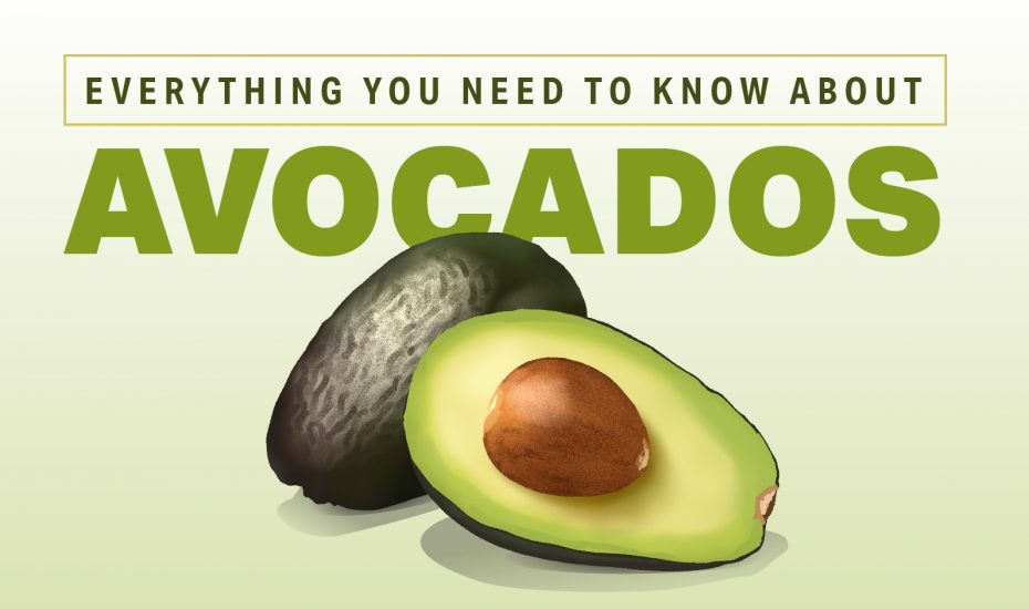 Everything You Need to Know About Avocados