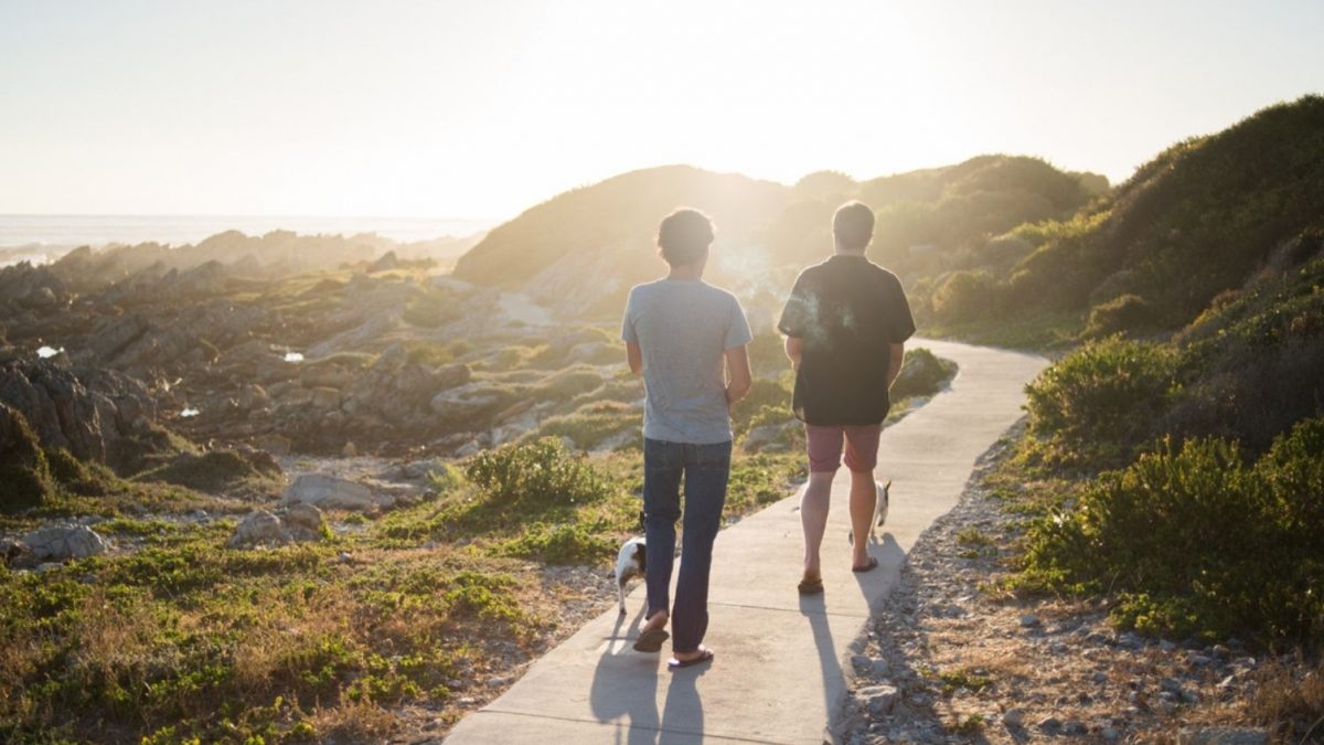 What Time of Day Is Best for Walking? | Walking | MyFitnessPal