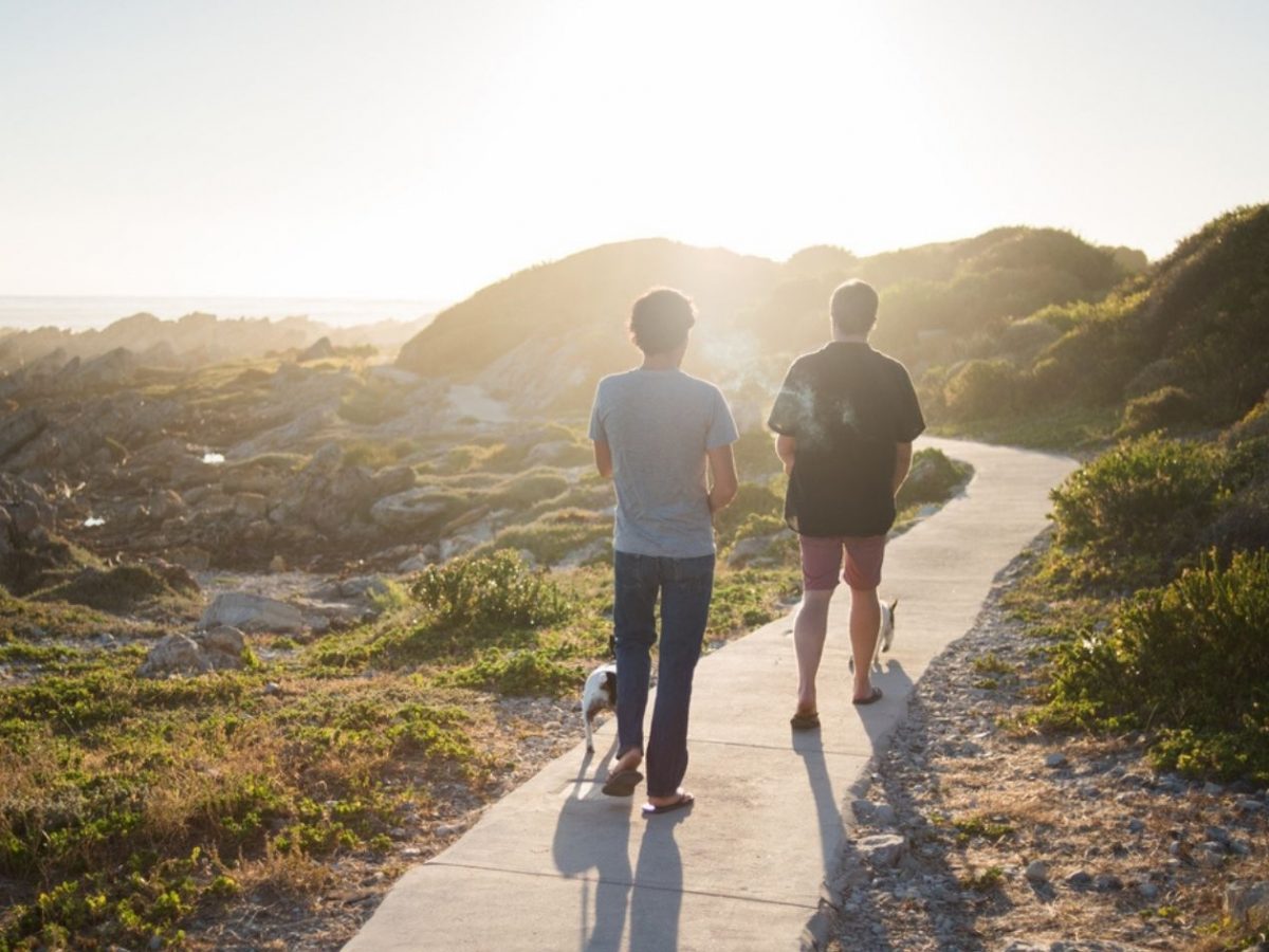 What Time of Day Is Best for Walking? | Walking | MyFitnessPal