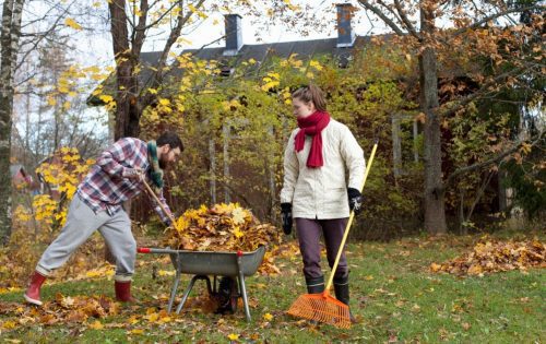 10 Epic Walks in the U.S. to Enjoy Fall Foliage