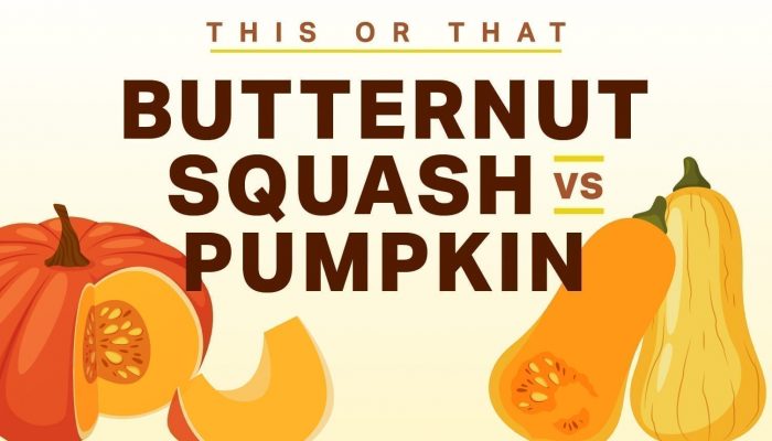 This or That: Is Pumpkin Healthier Than Butternut Squash?